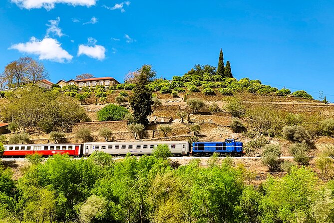 Douro | Roots & History - Tour with a local - Scenic road to Rio Douro: history in motion