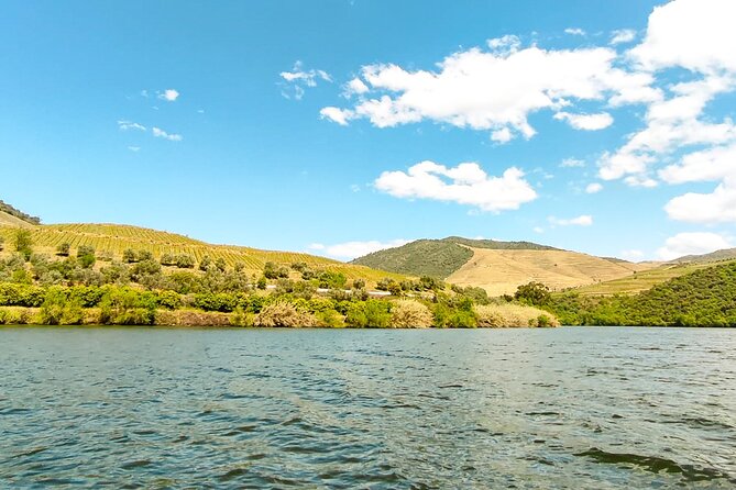 Douro | Roots & History - Tour with a local - Final Cumieira winery visit: the second tasting closes the loop