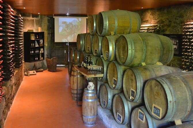 Douro Three Winery Small Group Tour with Lunch and Tastings - Key highlights to know before you go