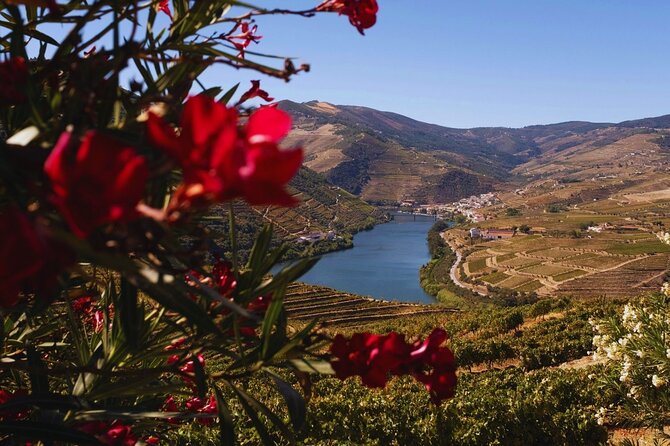Douro Three Winery Small Group Tour with Lunch and Tastings - Price and what you actually get for $173