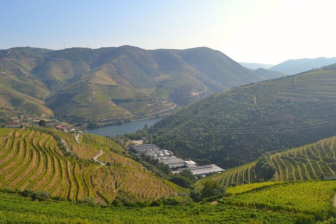 Douro Three Winery Small Group Tour with Lunch and Tastings - Stop 1 and the Peso da Régua winery tasting