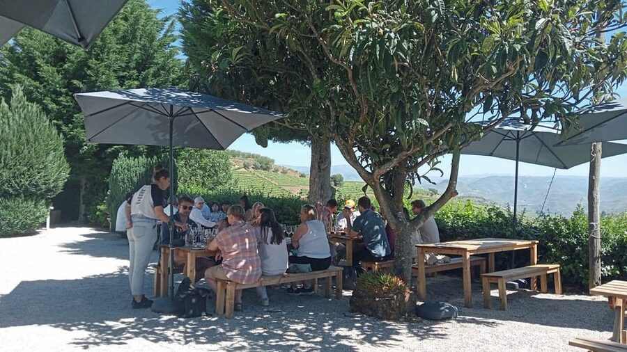 Douro Tour with Wine Tasting and Visit to Lamego and Pinhão - Key things that make this Douro day work