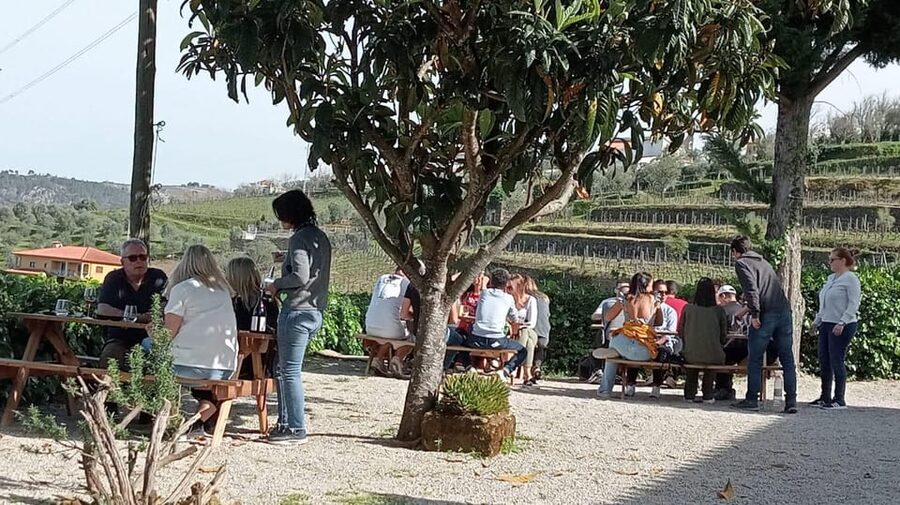 Douro Tour with Wine Tasting and Visit to Lamego and Pinhão - Lamego wine tasting: Douro and Port, in a family vineyard setting