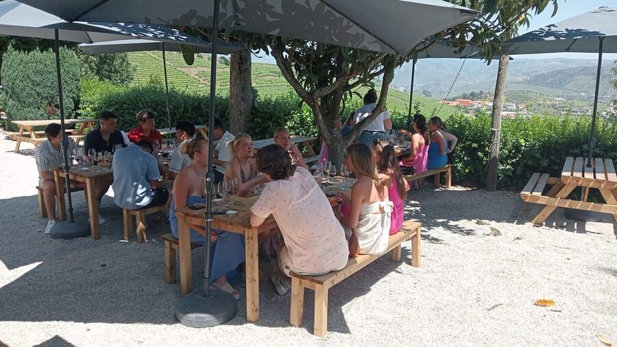 Douro Tour with Wine Tasting and Visit to Lamego and Pinhão - The return to Largo da Lapa, and how to pace your day