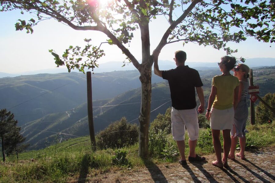 Douro Tour with Wine Tasting and Visit to Lamego and Pinhão - Who this tour suits best (and who should think twice)