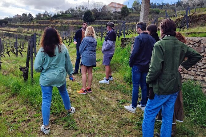 Douro Tour with Wine Tasting, River Cruise and Visit to Lamego - A Douro Valley day from Porto that feels organized, not rushed