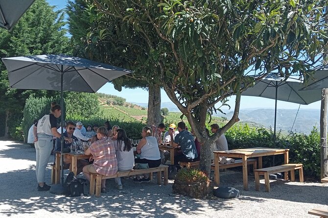 Douro Tour with Wine Tasting, River Cruise and Visit to Lamego - The National Road 222 drive, plus the quick change of scenery effect