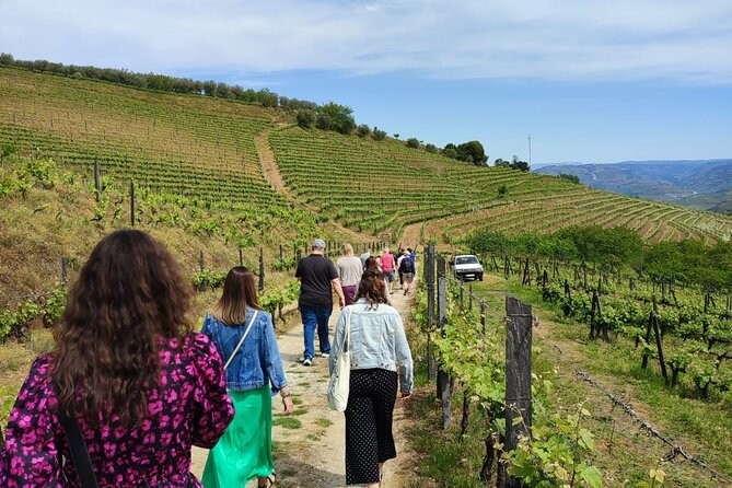 Douro Tour with Wine Tasting, River Cruise and Visit to Lamego - Meeting in Porto at Igreja da Lapa, then heading out by 8:30