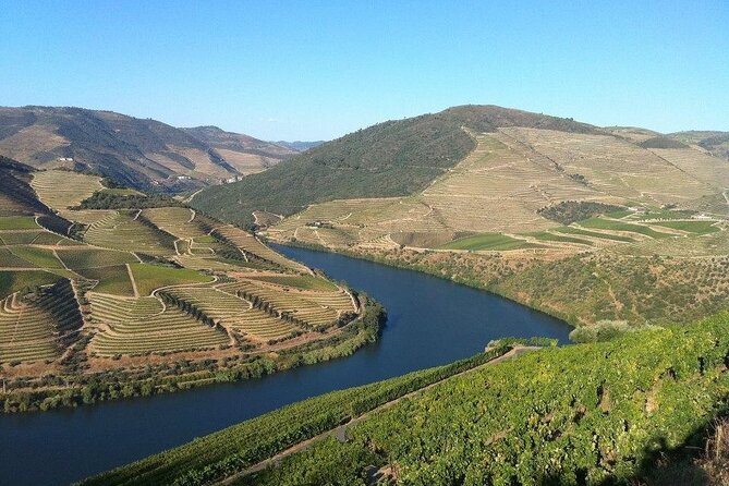 DOURO TOURS - Premium Tour - Port tasting at a second quinta: three Port wines