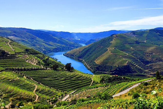 DOURO TOURS - Premium Tour - The 50-minute Rio Douro boat ride, why it matters