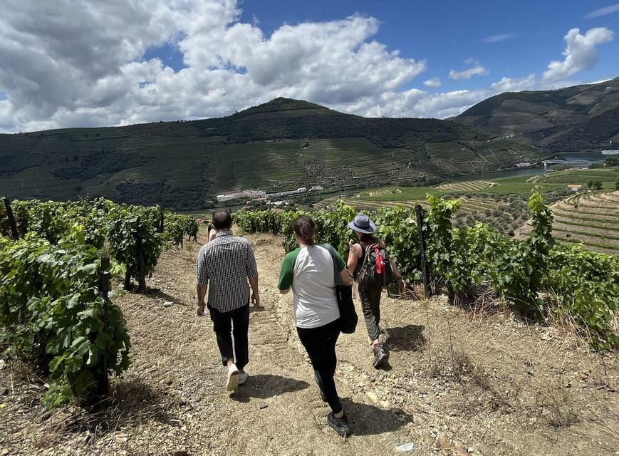 Douro valley: 10 km hike in the Valley - Should you book this tour?