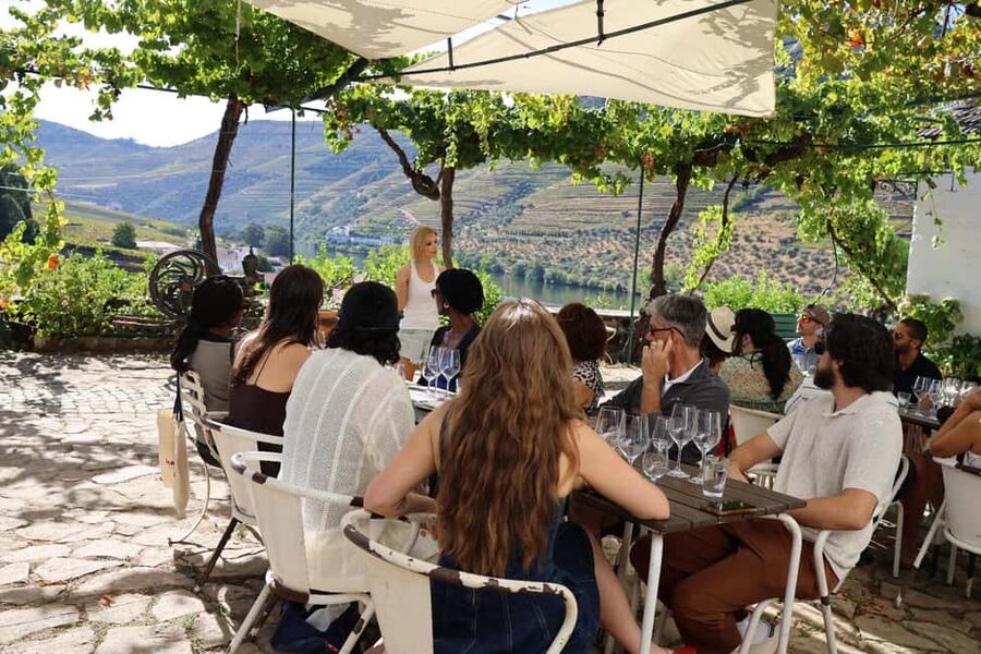 Douro valley: 10 km hike in the Valley - Pinhão village time, wine tasting, and an optional boat tour