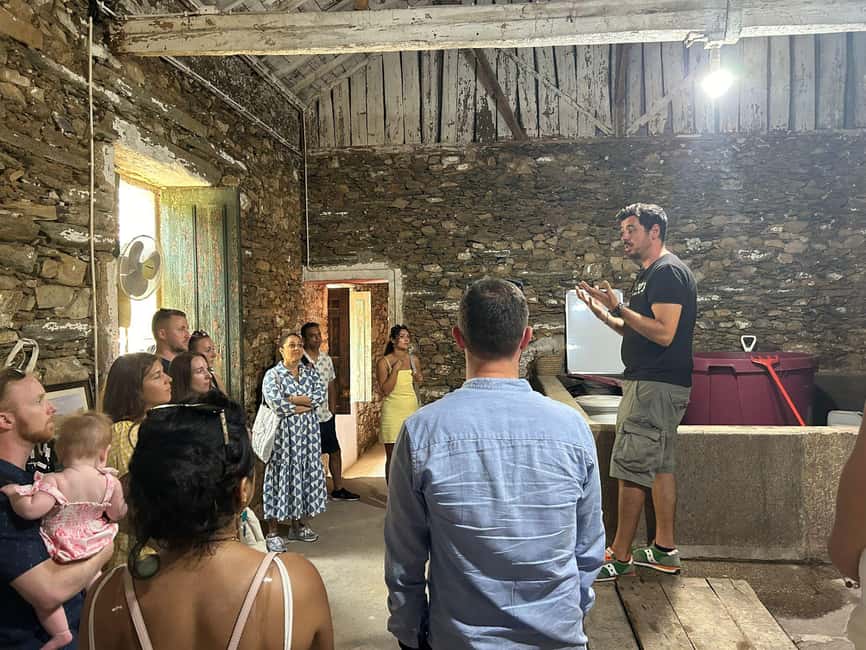 Douro valley: 10 km hike in the Valley - Price and value, what you’re paying for at $74