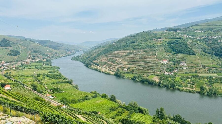 Douro Valley: 4 Cities, Wine&History - Private All-Inclusive - Peso da Régua and Pinhão: views plus breathing room