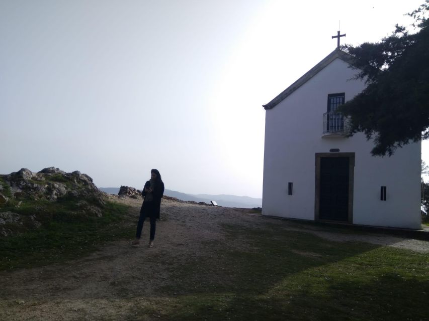 Douro Valley & Amarante - from Porto, Braga or Guimarães - Transportation and comfort: private van, guide-driver, and timing that works