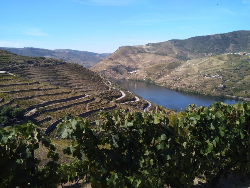 Douro Valley & Amarante - from Porto, Braga or Guimarães - Entering the Douro Valley: why this route feels different