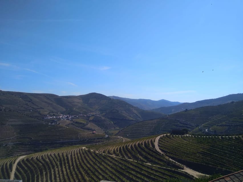 Douro Valley & Amarante - from Porto, Braga or Guimarães - Régua to the heart of the region: the Douro explained in plain language
