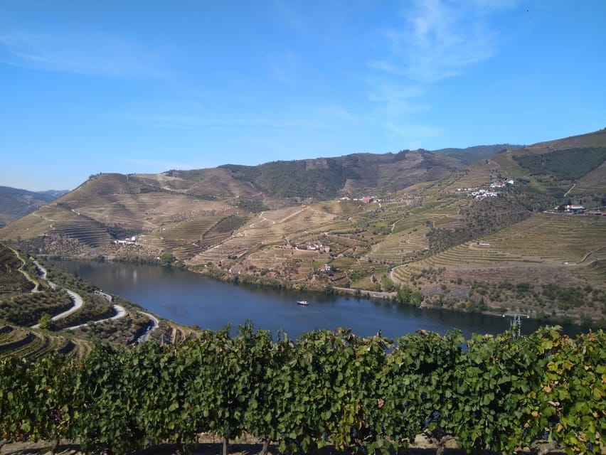 Douro Valley & Amarante - from Porto, Braga or Guimarães - São Leonardo de Galafura viewpoint: where the slopes start to make sense