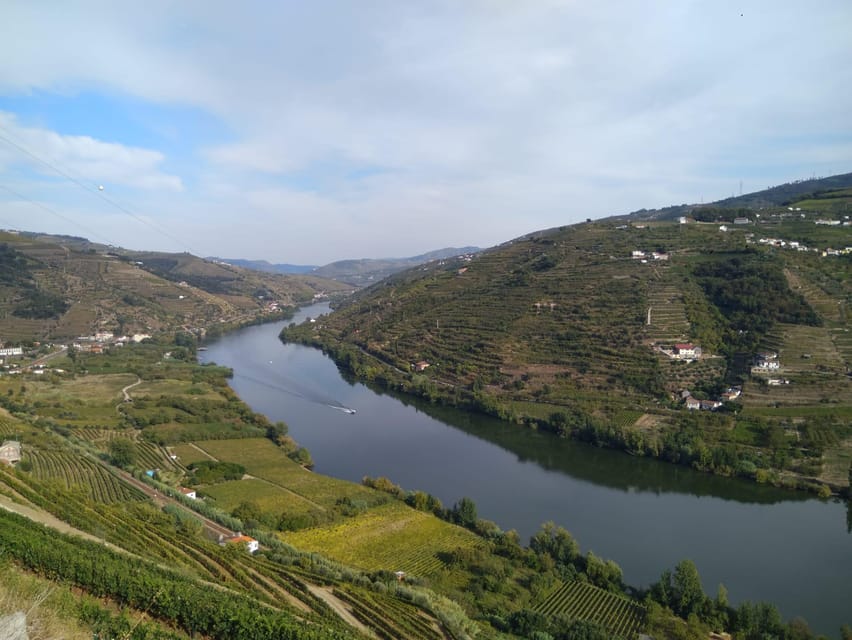 Douro Valley & Amarante - from Porto, Braga or Guimarães - Favaios: the second stop that broadens your wine picture