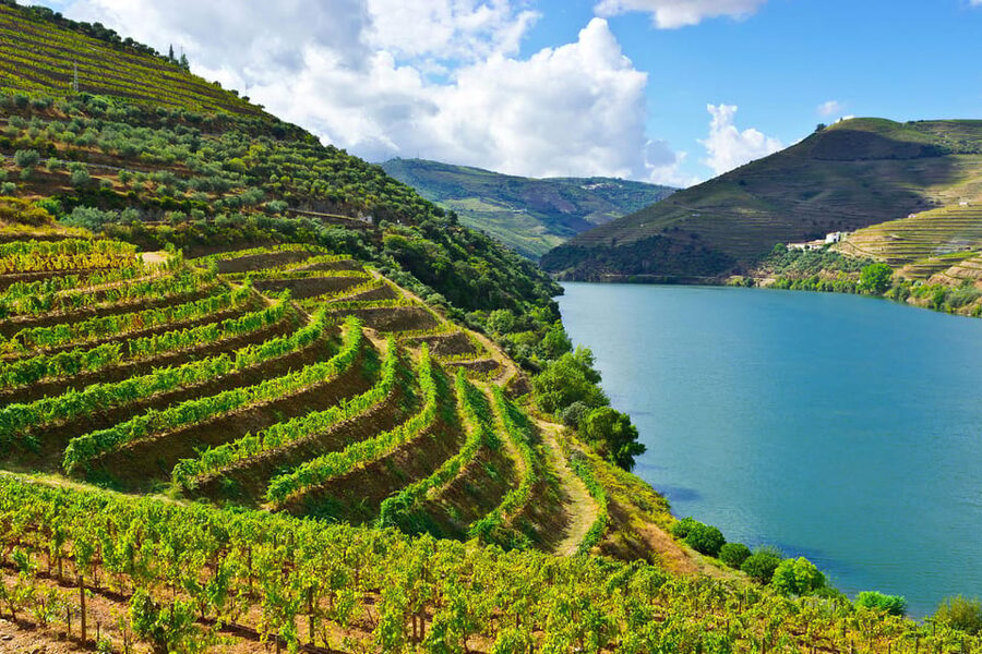 Douro Valley & Amarante - from Porto, Braga or Guimarães - Amarante’s historic center: the calm before the vines