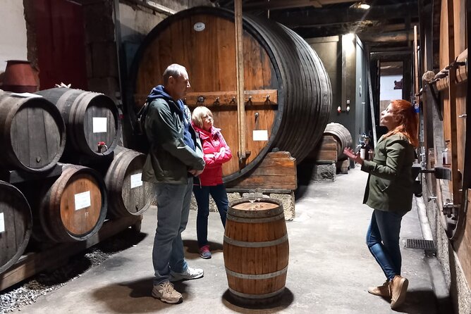DOURO VALLEY & AMARANTE: Private Tour, Wine Tour and Cruise - What It Costs and Why It Can Be Worth It