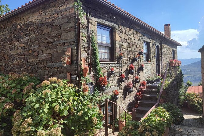 Douro Valley amazing wine Tours - Stop 1 in Peso da Régua: family estate history, Douro DOC tastings, Porto, olive oil