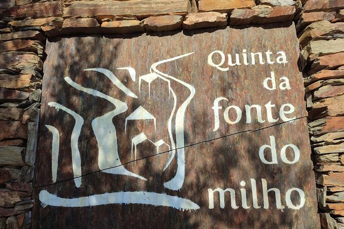 Douro Valley amazing wine Tours - Folgosa and Valdigem: finishing with small-producer tastings