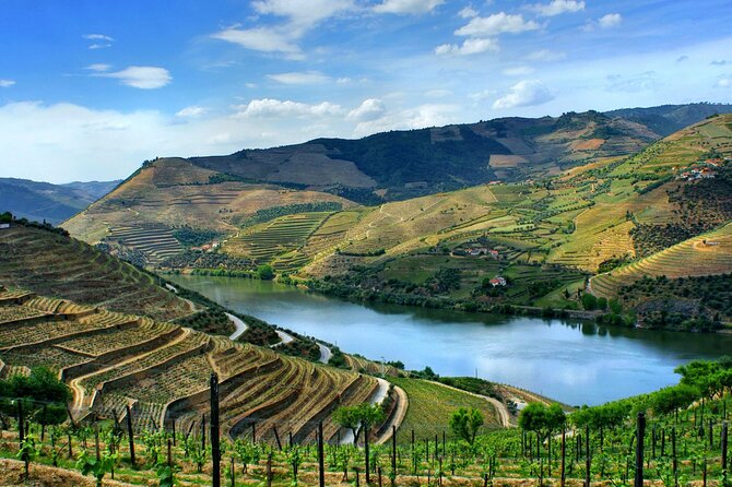 Douro Valley and Régua Panoramic Cruise with Lunch from Porto - Carrapatelo Dam: the lock passage that turns heads