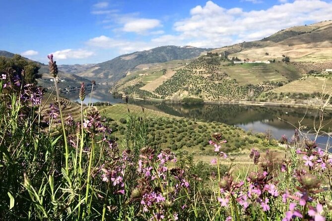 Douro Valley and Régua Panoramic Cruise with Lunch from Porto - Inside comfort vs outside views: plan your deck time