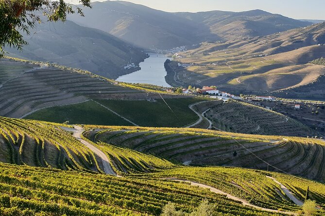 Douro Valley Best-Of Private Tour – Fully Customizable Experience - Add-ons: how to build your day, especially if you want a boat trip