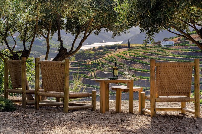 Douro Valley Best-Of Private Tour – Fully Customizable Experience - Who will love this tour the most
