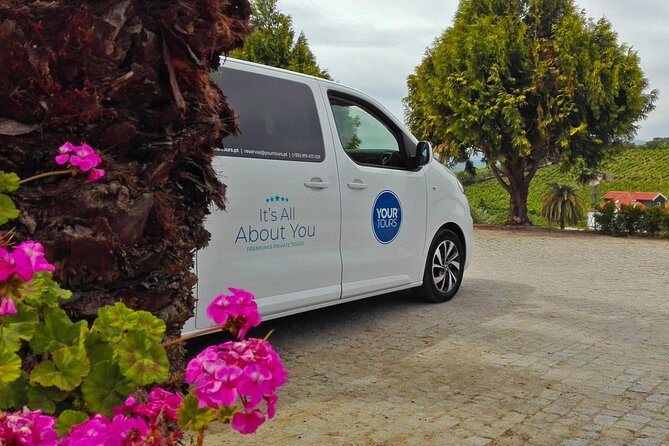 Douro Valley Best-Of Private Tour – Fully Customizable Experience - The N222 scenic road: when to look up and when to pull out your camera