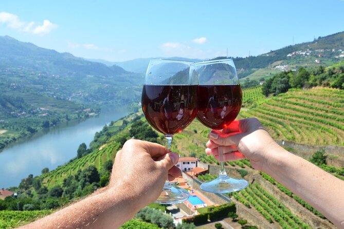 Douro Valley Delights Wine Tasting and Scenic Vistas - Key highlights at a glance