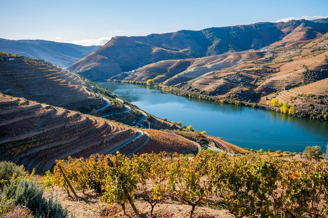 Douro Valley Delights Wine Tasting and Scenic Vistas - Pickup, comfort, and keeping the day stress-free