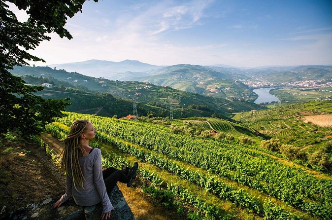 Douro Valley Delights Wine Tasting and Scenic Vistas - Stop 1 in Porto: using the city to set the wine mood
