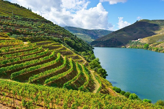 Douro Valley Delights Wine Tasting and Scenic Vistas - Rua Peso da Régua: a wine region town with purpose