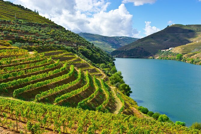 Douro Valley Delights Wine Tasting and Scenic Vistas - Quinta do Tedo: organic practices and panoramic views