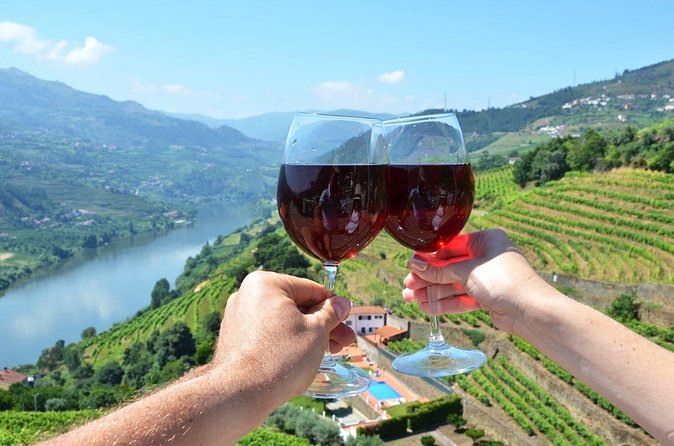Douro Valley Delights Wine Tasting and Scenic Vistas - Quinta do Beijo: family-run tradition with modern touches