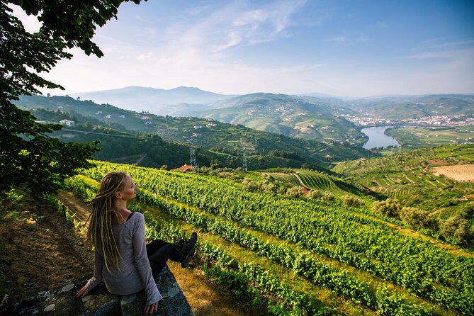Douro Valley Delights Wine Tasting and Scenic Vistas - Price and what you really get for it