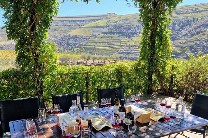Douro Valley-Expert Guide-Boat-Lunch-Tastings-Offer wine bottle - Miradouro Torguiano viewpoint, Port wine demarcation, and photo time