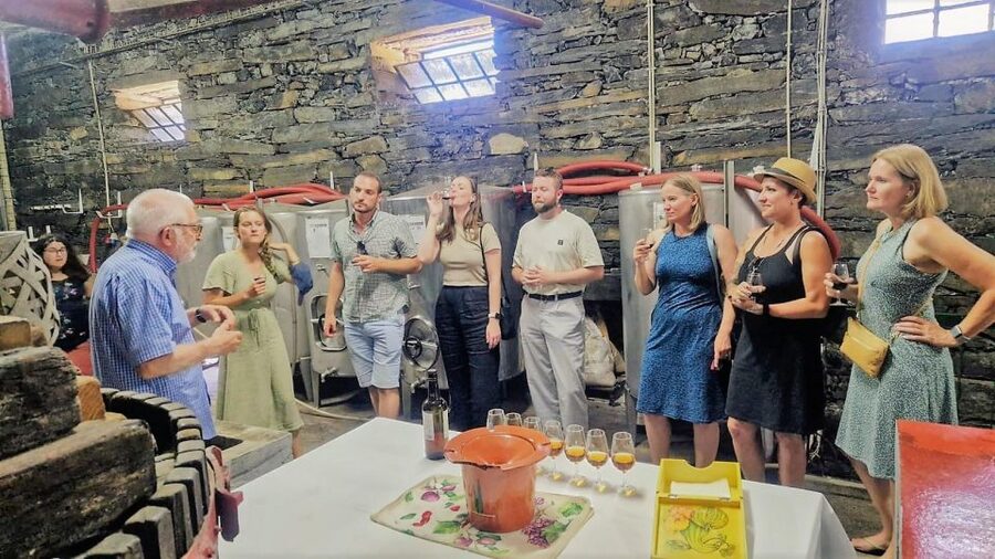 Douro Valley-Expert Guide-Boat-Lunch-Tastings PremiumService - Premium day from Porto, built for people who want more than a drive-by