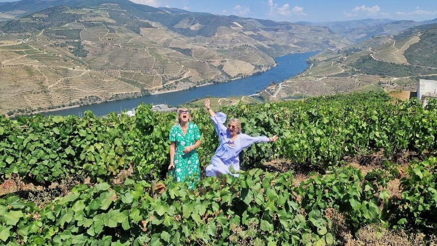 Douro Valley-Expert Guide-Boat-Lunch-Tastings PremiumService - Winery stop #1: Port wine secrets plus gourmet Douro olive oil