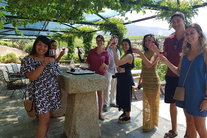 Douro Valley for Wine Lovers with Visit to 4 Wineries and Lunch - Key highlights I’d circle first