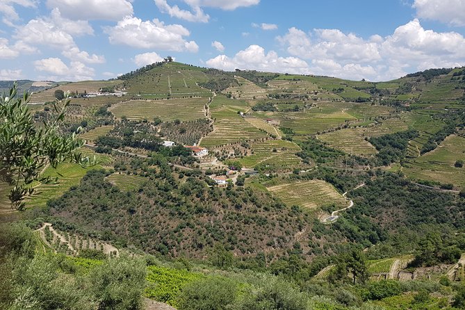 Douro Valley for Wine Lovers with Visit to 4 Wineries and Lunch - Porto to Douro in one day, without the stress