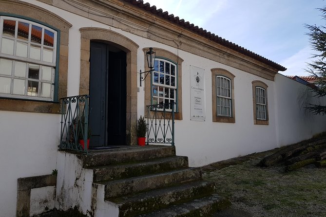 Douro Valley for Wine Lovers with Visit to 4 Wineries and Lunch - Lunch in a vineyard, and how to choose if you are picky