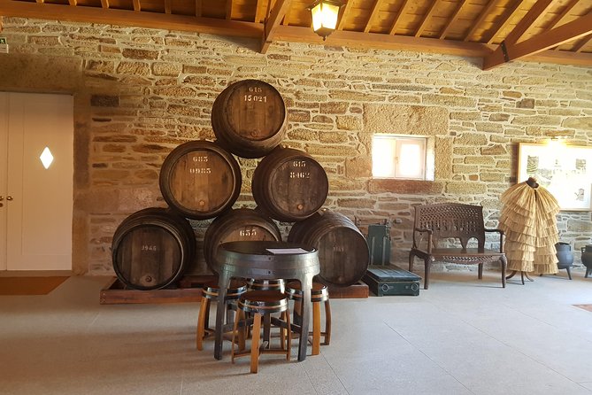 Douro Valley for Wine Lovers with Visit to 4 Wineries and Lunch - Olive oil tasting with commentary, why it’s more than a side quest