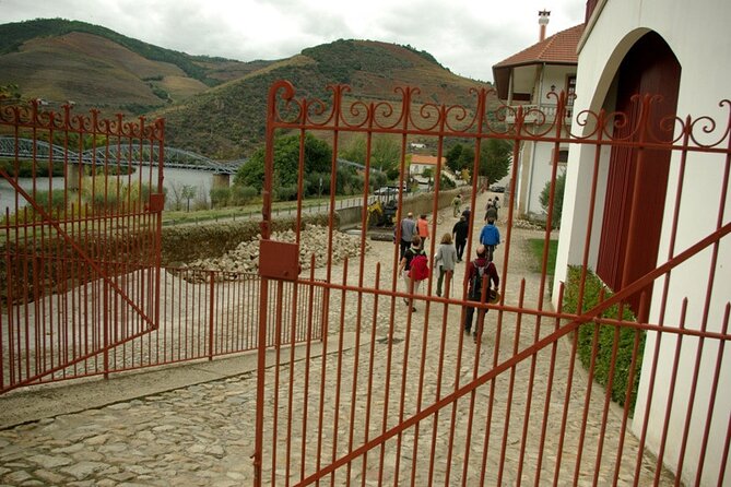 Douro Valley: From Casal de Loivos to Pinhão Walk and Wine Tour - Why the Pinhão area is such a good Douro base