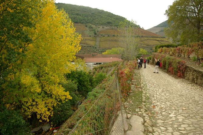 Douro Valley: From Casal de Loivos to Pinhão Walk and Wine Tour - Entering the day with a Tesla Model 3 electric car