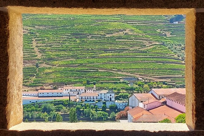 Douro Valley Full Day Tour with River Cruise and Wine Tastings - Why this is a smart Porto-to-Douro day plan (8 to 9 hours)