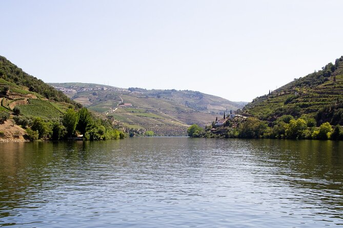 Douro Valley Full Day Tour with River Cruise and Wine Tastings - Sabrosa wine estate time: tastings plus a traditional Portuguese lunch